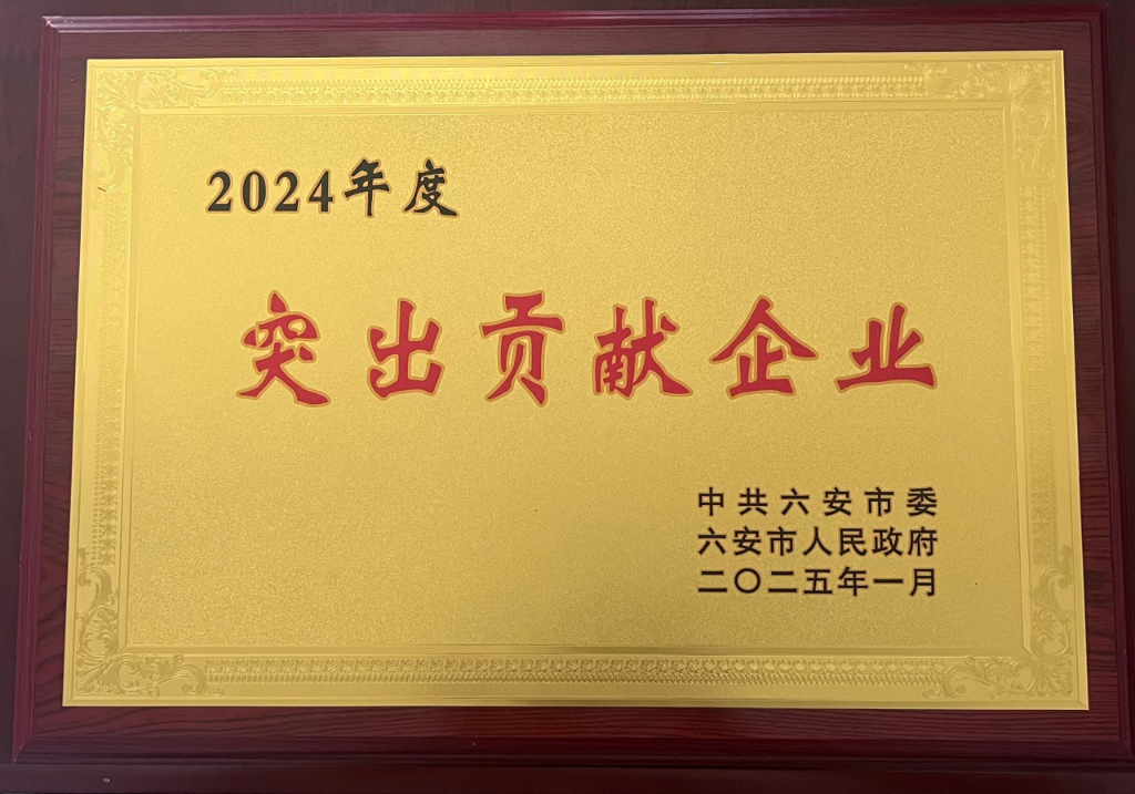 六安HY豪运国际(中国区)官方网站荣获“突出贡献企业”